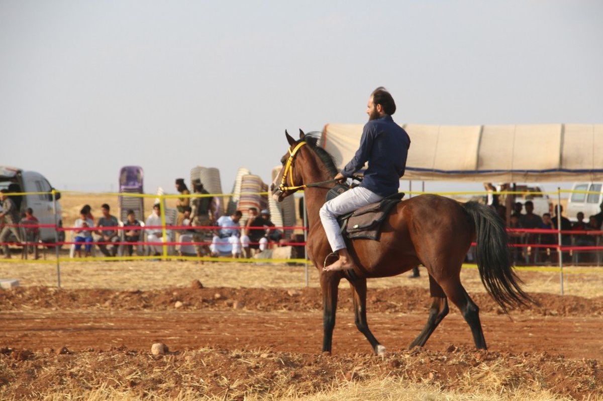 El Bab\'da at yarışı coşkuyla izlendi