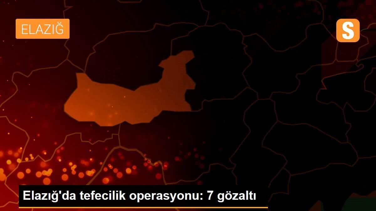 Elazığ\'da tefecilik operasyonu: 7 gözaltı