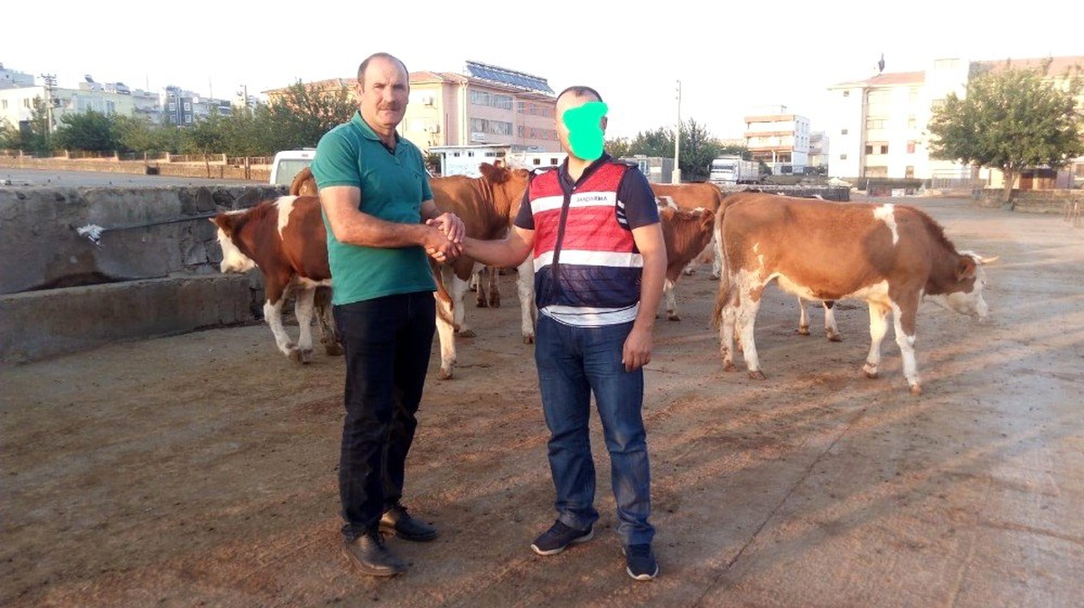 Jandarma ekipleri besicinin 20 yıllık birikimini kurtardı