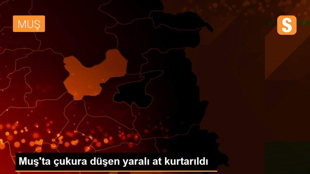 Muş\'ta çukura düşen yaralı at kurtarıldı