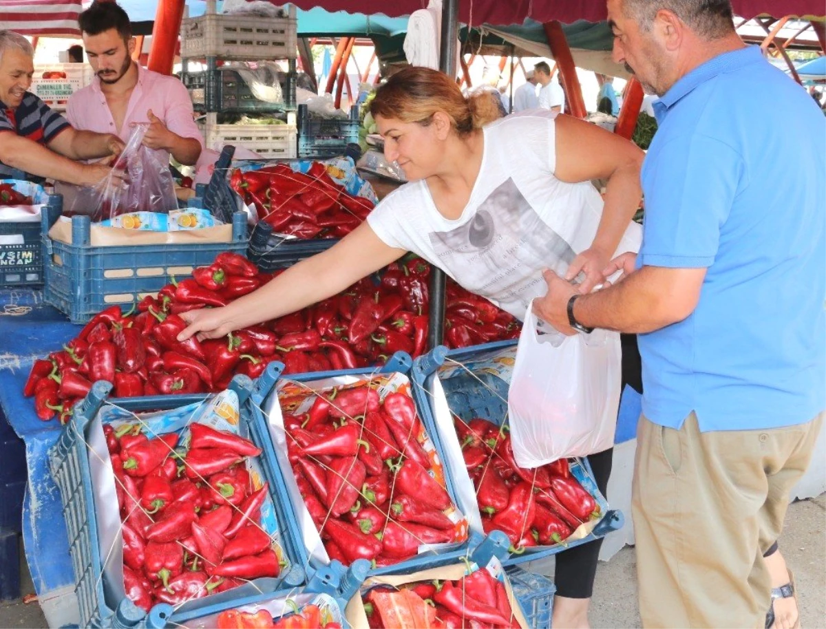 Pazarlarda salçalık biber hareketliliği