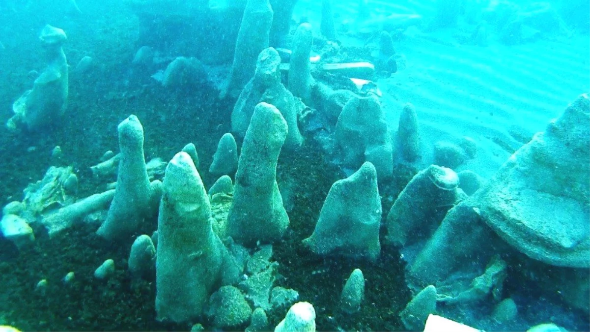 Van Gölü\'nün Erciş sahillerinde su altı mikrobiyalitlere rastlandı