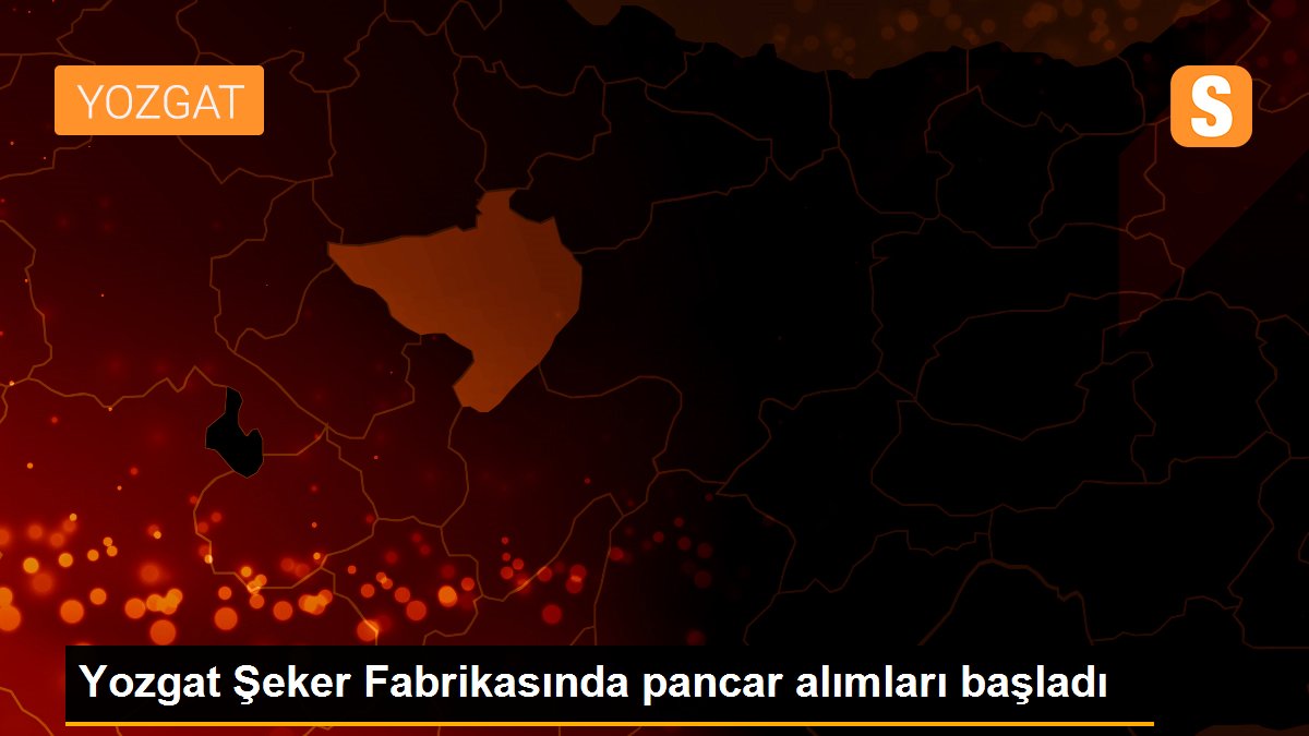 Yozgat Şeker Fabrikasında pancar alımları başladı