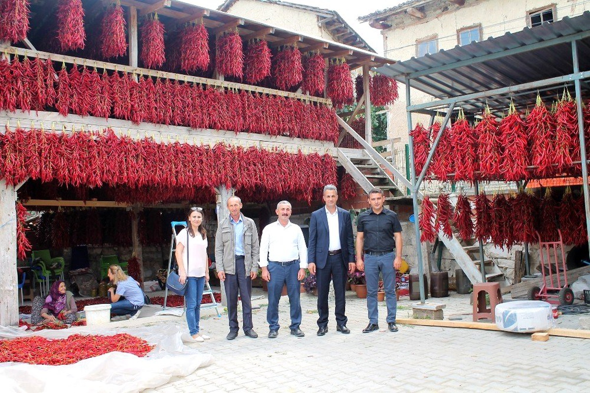 150 yıldır aynı tohumdan acı kırmızı biber üretip kurutuyorlar