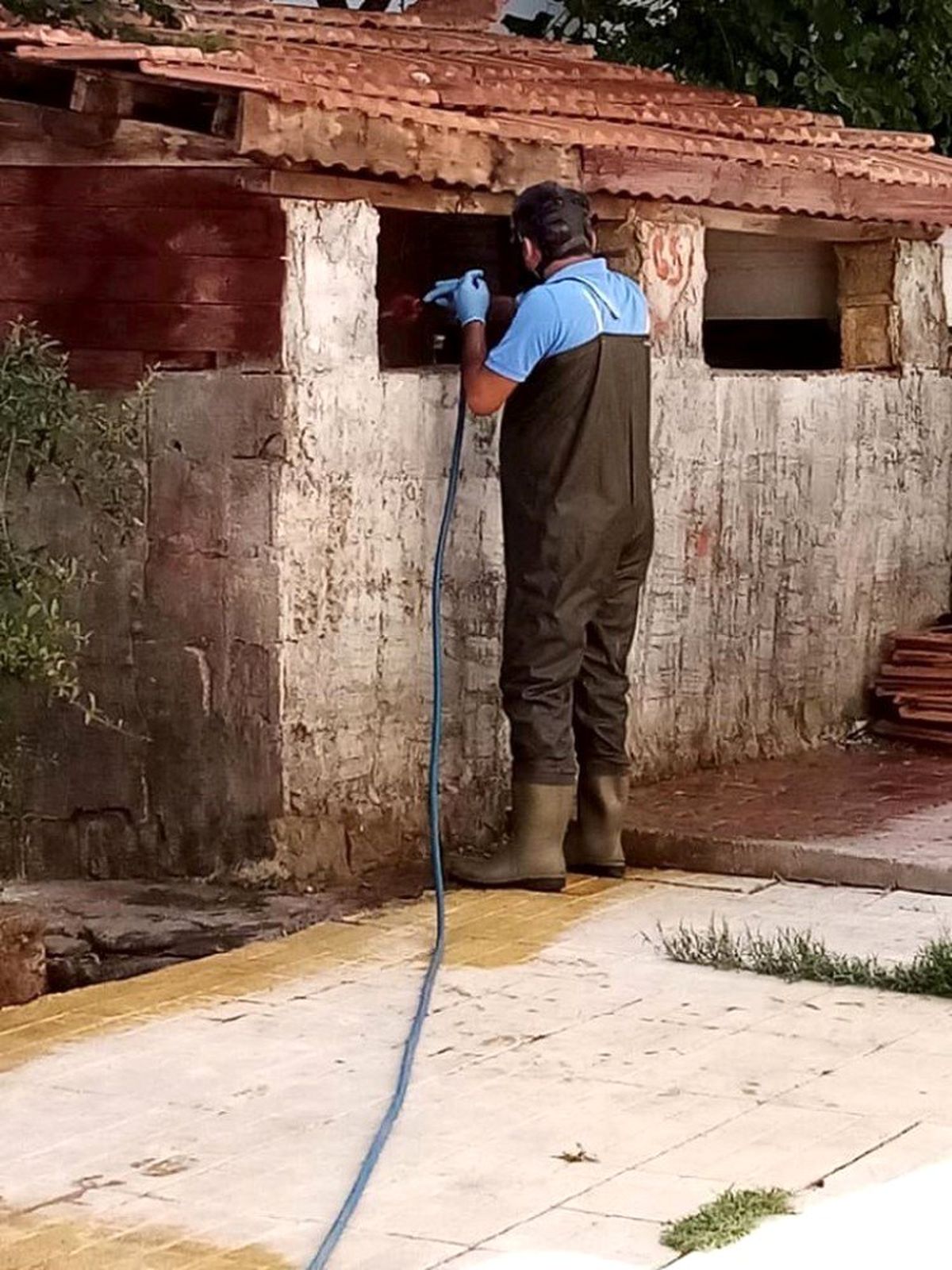 Adıyaman\'da ilaçlama çalışmalarına devam ediyor