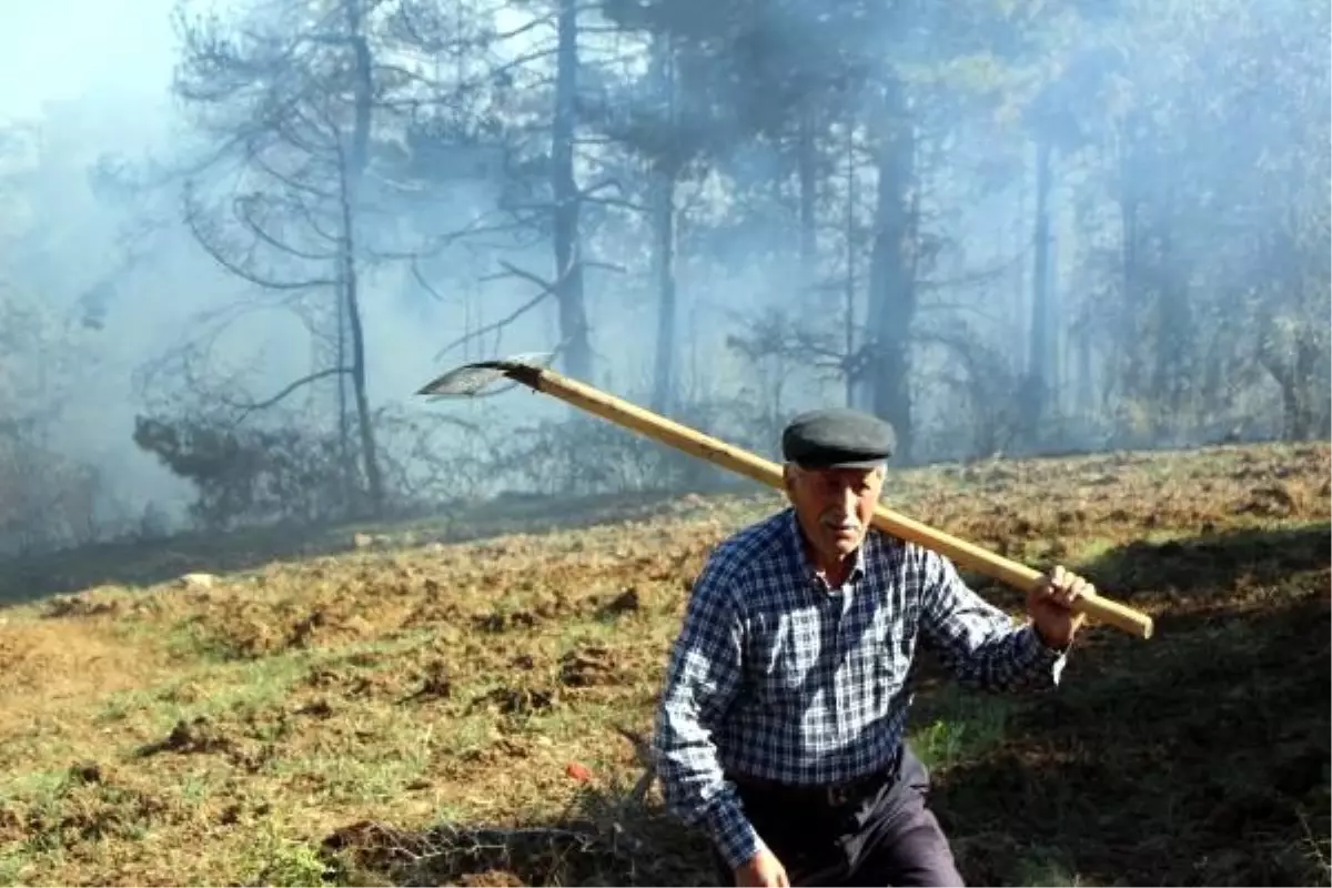 Bolu\'da çıkan orman yangınında 10 dönümlük alan zarar gördü