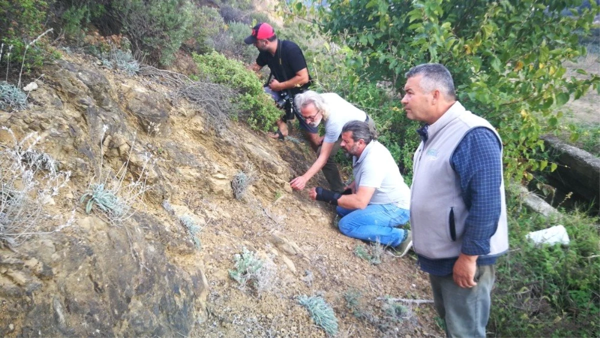 İznik\'te milyonlarca yıl öncesine ait mikroorganizma fosili kalıntısı bulundu