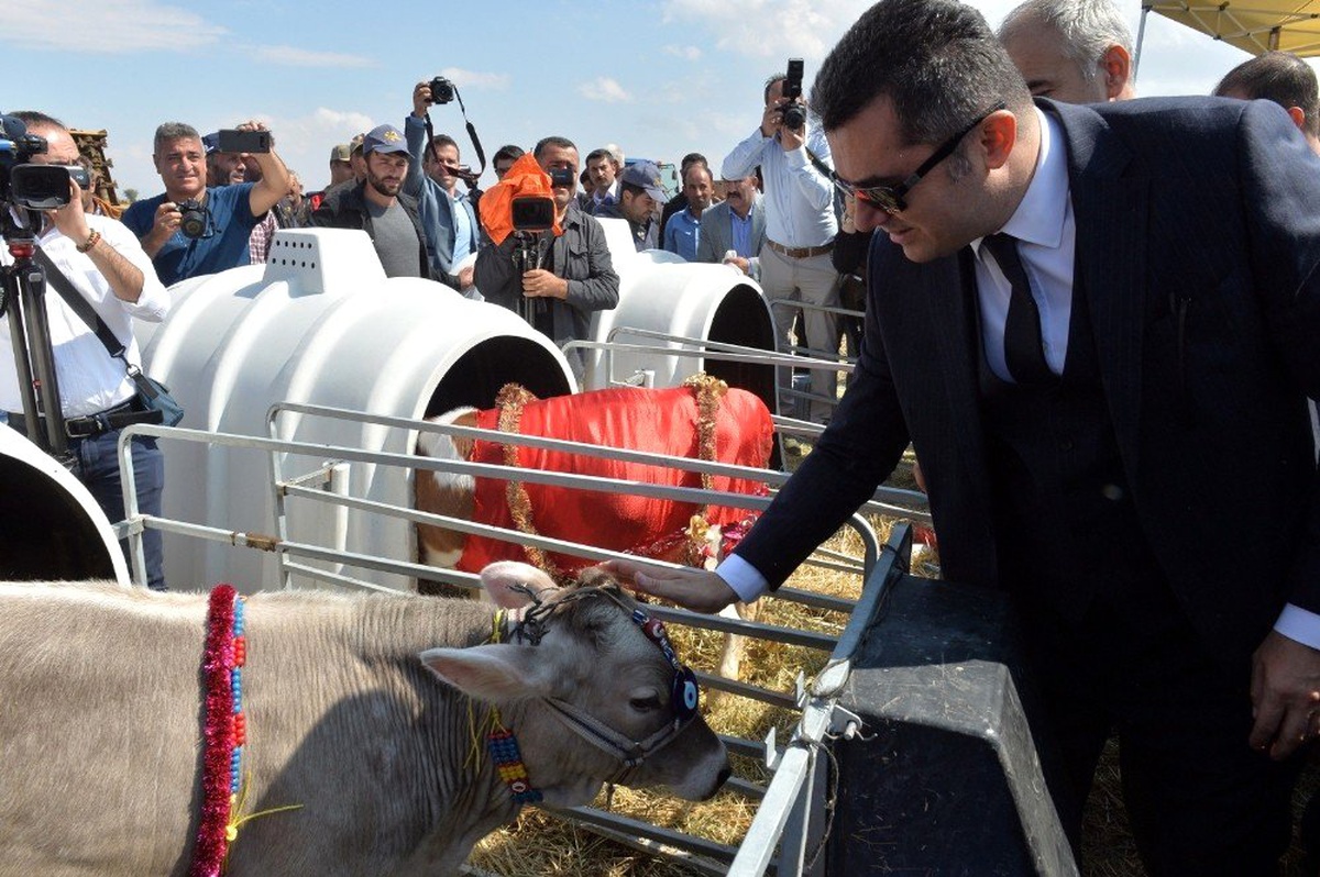 Erzurum\'da Tarla Günü Şenlikleri düzenlendi