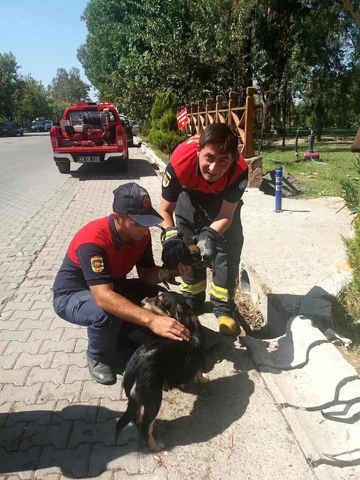 Mazgala sıkışan köpek ve yavrusunu itfaiye kurtardı