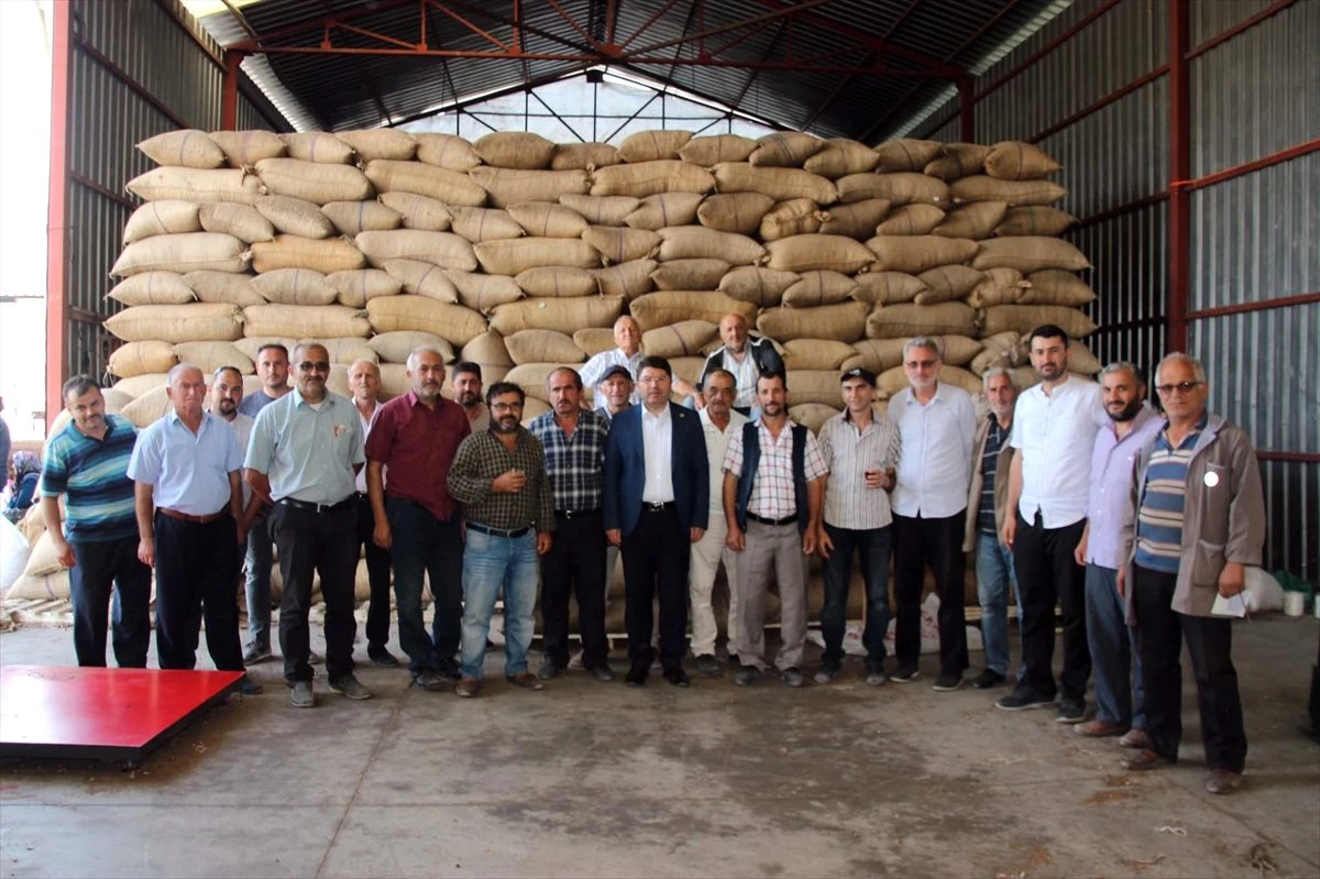 Milletvekili Tunç, fındık alım merkezini ziyaret etti