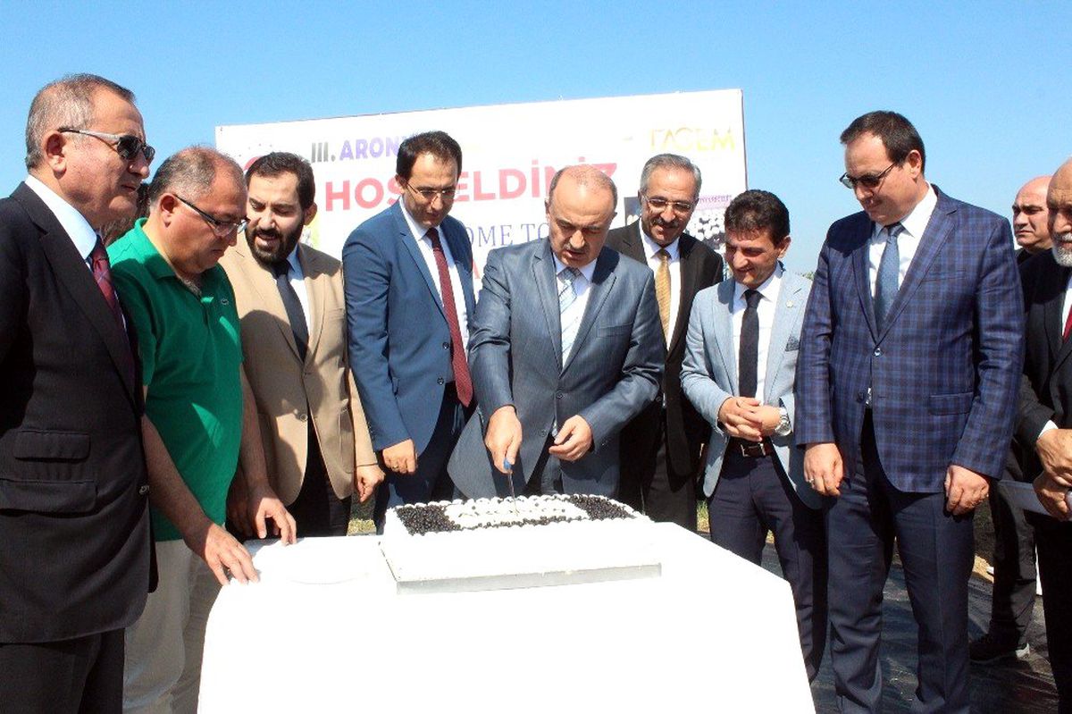 Yalova\'da aronya hasadına başlandı