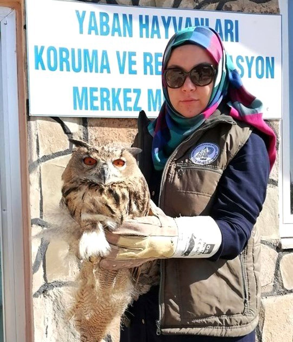 Yaralı Puhu tedavi altına alındı