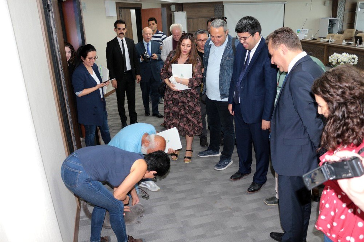Yücel Yılmaz\'ın kedisi \'Pati\' basın mensuplarının gözdesi oldu