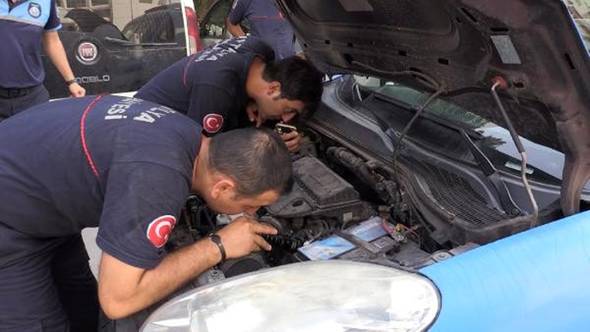 Zabıtanın aracına sıkışan kediyi itfaiye kurtardı