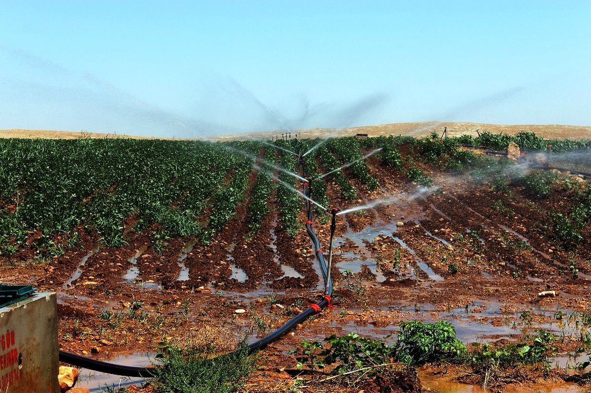 25 sulama birliğinin Dicle Elektrik\'e olan borcu yarım milyar liraya yaklaştı