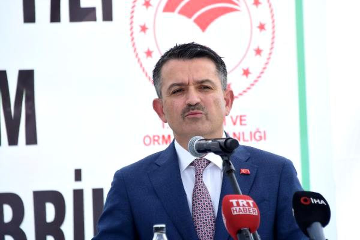 Bakan pakdemirli: pancar üretiminde yüzde 11 artış bekleniyor
