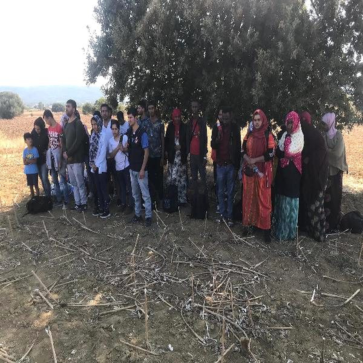 Çanakkale\'de 353 kaçak göçmen ve 8 organizatör yakalandı