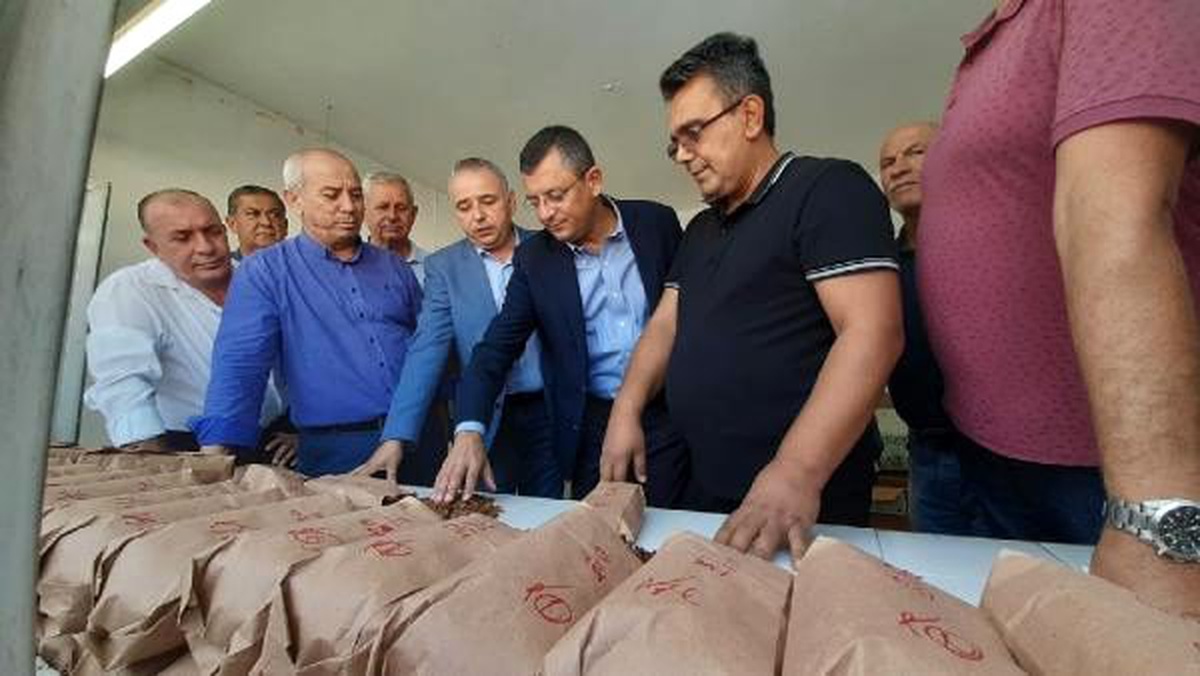 Chp\'li özel\'den üzüm fiyatına eleştiri