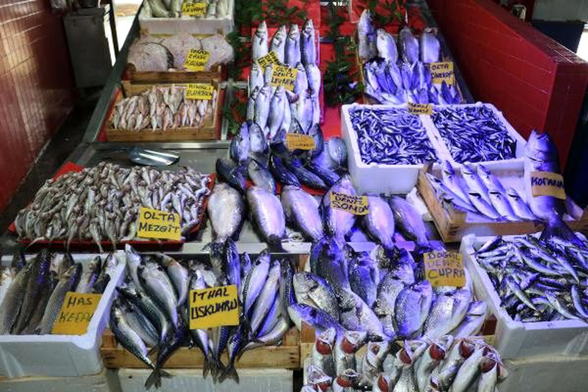 Deniz suyu ısınan karadeniz\'de balık avı azaldı