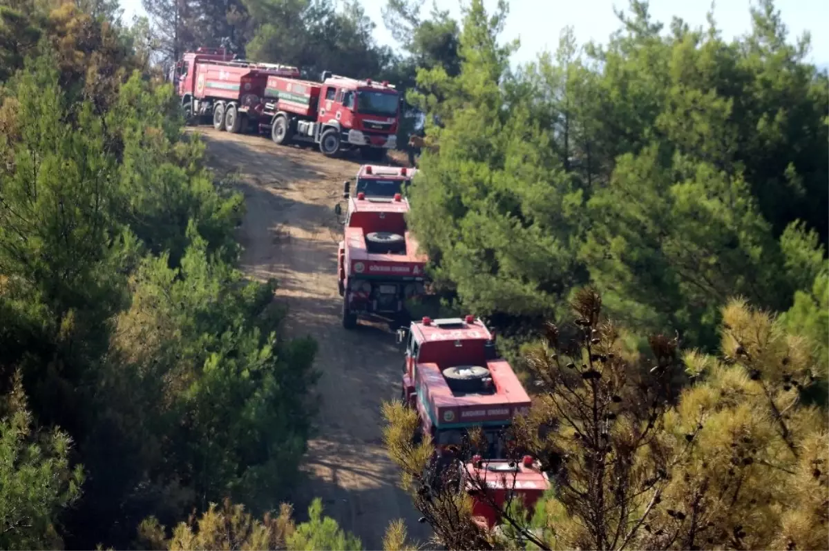 Hatay\'da 25 noktada çıkan yangın söndürüldü