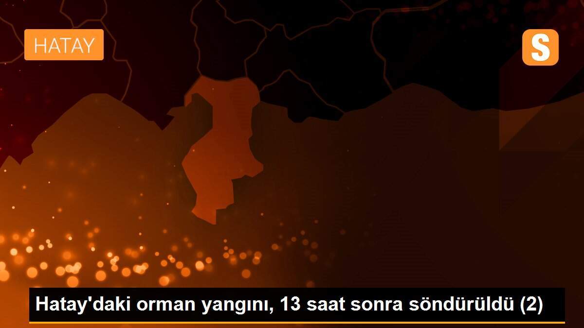 Hatay\'daki orman yangını, 13 saat sonra söndürüldü (2)