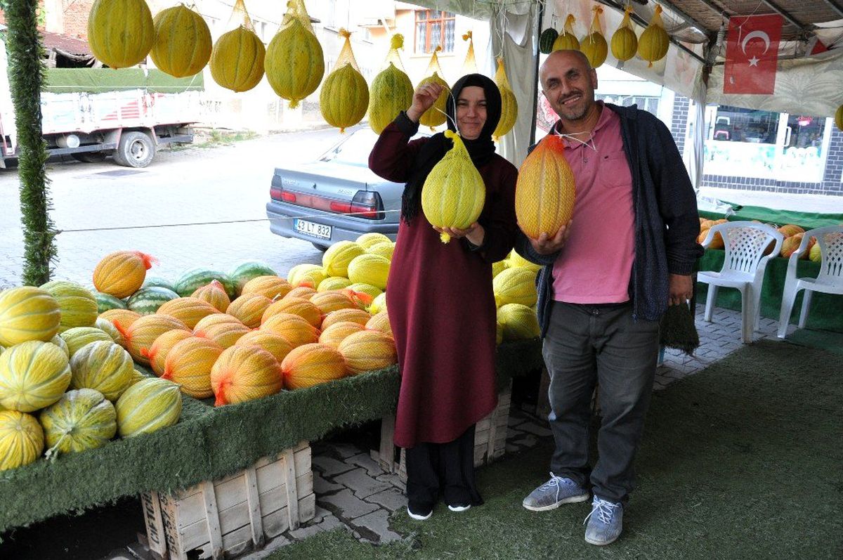Kavunun ömrü özel file ile uzuyor