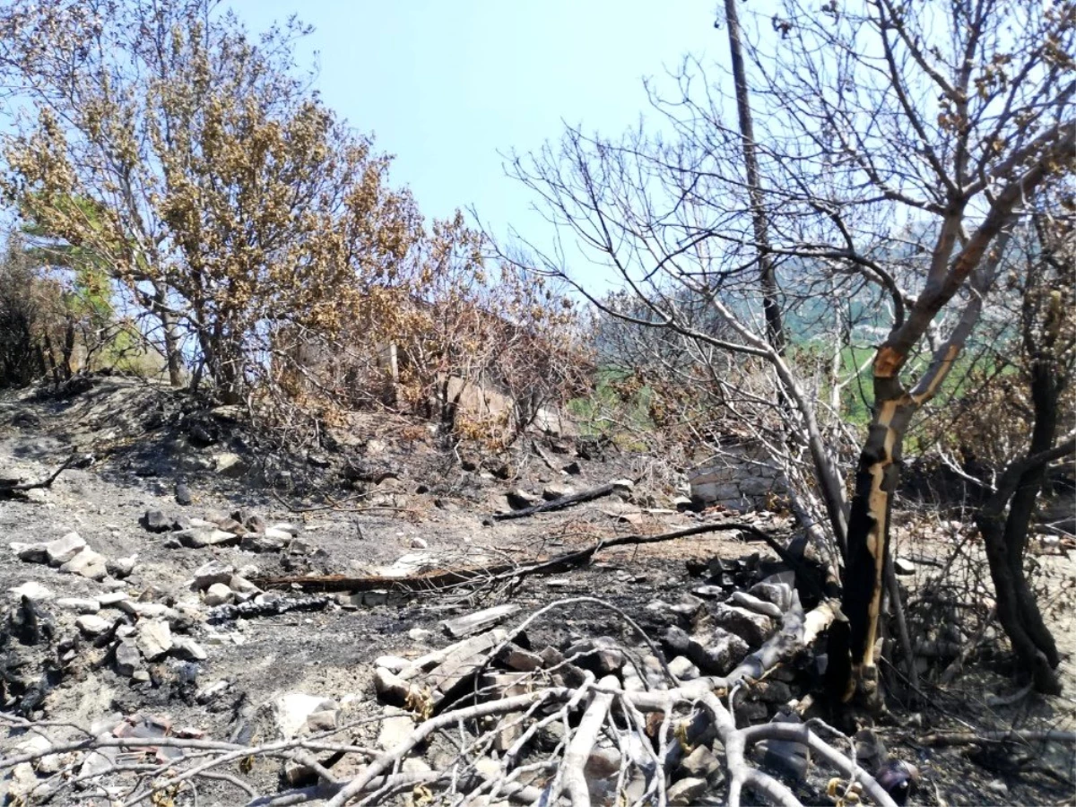 Manavgat\'ta evleri yanan aileye, Antalya Valiliğinden destek
