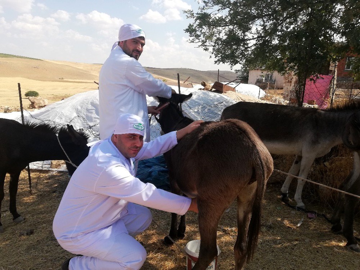Mardin\'in ödüllü eşek sütü sabunu 27 ülkeye ihraç ediliyor