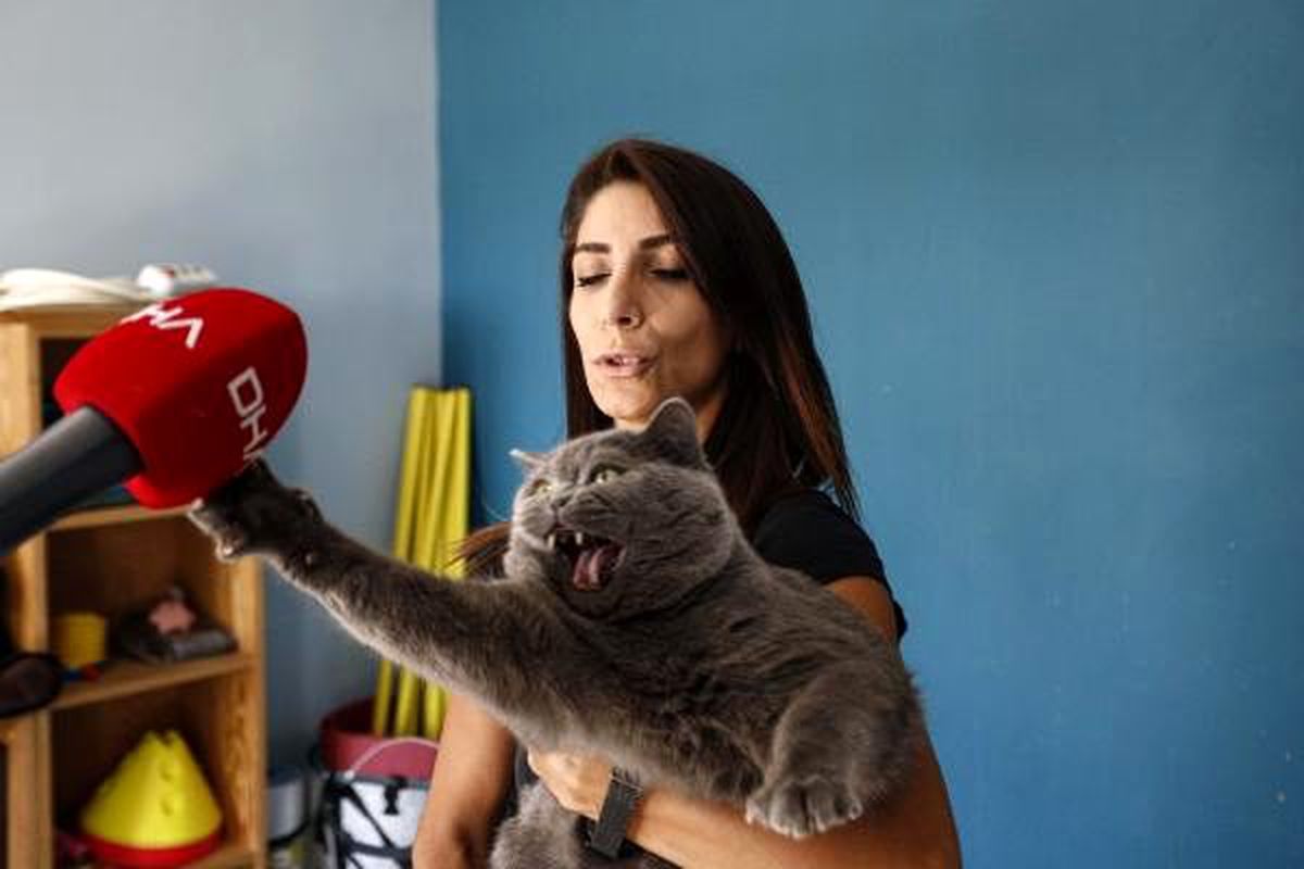 Obez kedi, egzersiz ile 4,5 kilo verdi