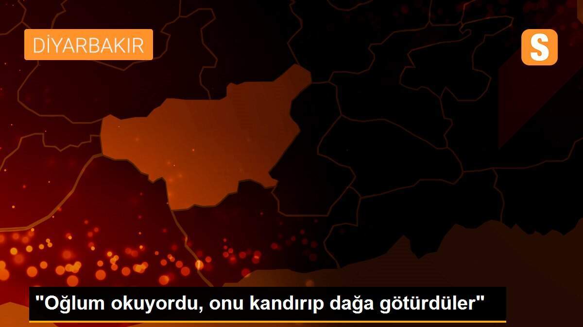 "Oğlum okuyordu, onu kandırıp dağa götürdüler"