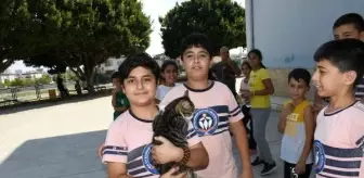 'Şanslı' kedi, öğrenci ve öğretmenlerin sevgisiyle yürüdü