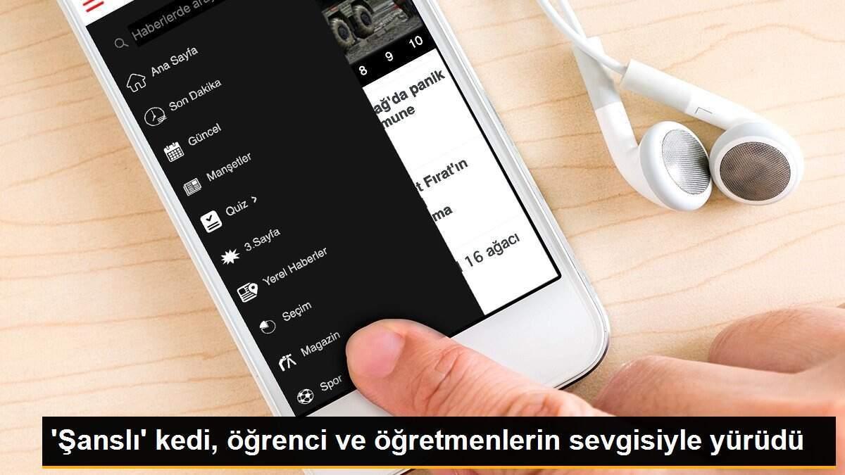 \'Şanslı\' kedi, öğrenci ve öğretmenlerin sevgisiyle yürüdü
