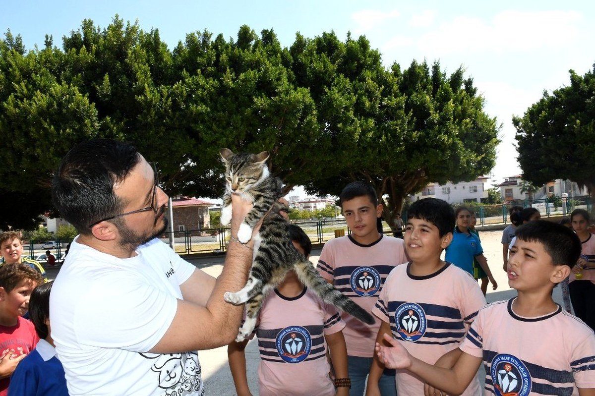 Şanslı kedi öğrenciler ve öğretmenler sayesinde yürümeye başladı