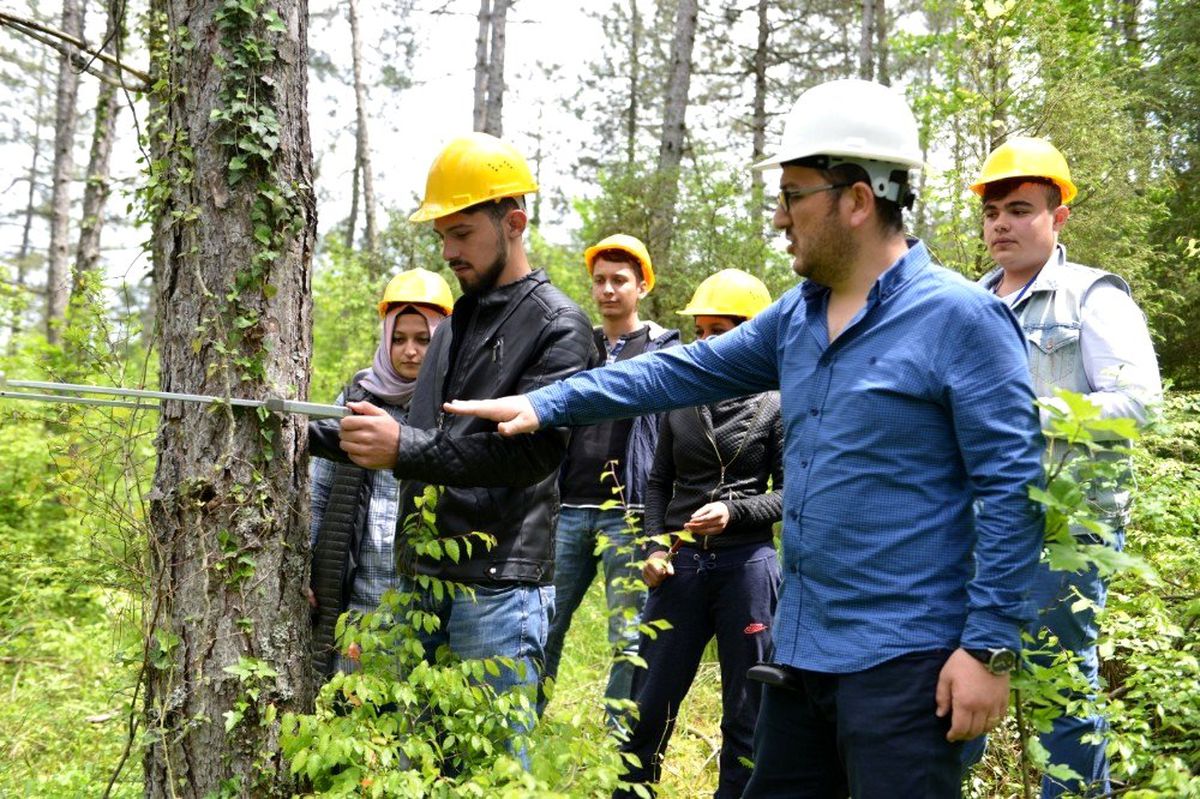 Ulus MYO ormancılık alanında bir ilki gerçekleştirdi