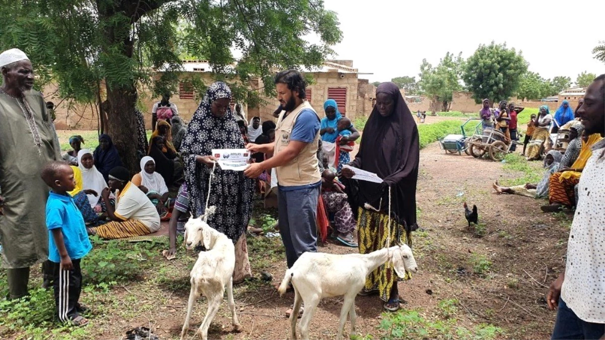 Afrikalı ailelere süt keçileri dağıtıldı
