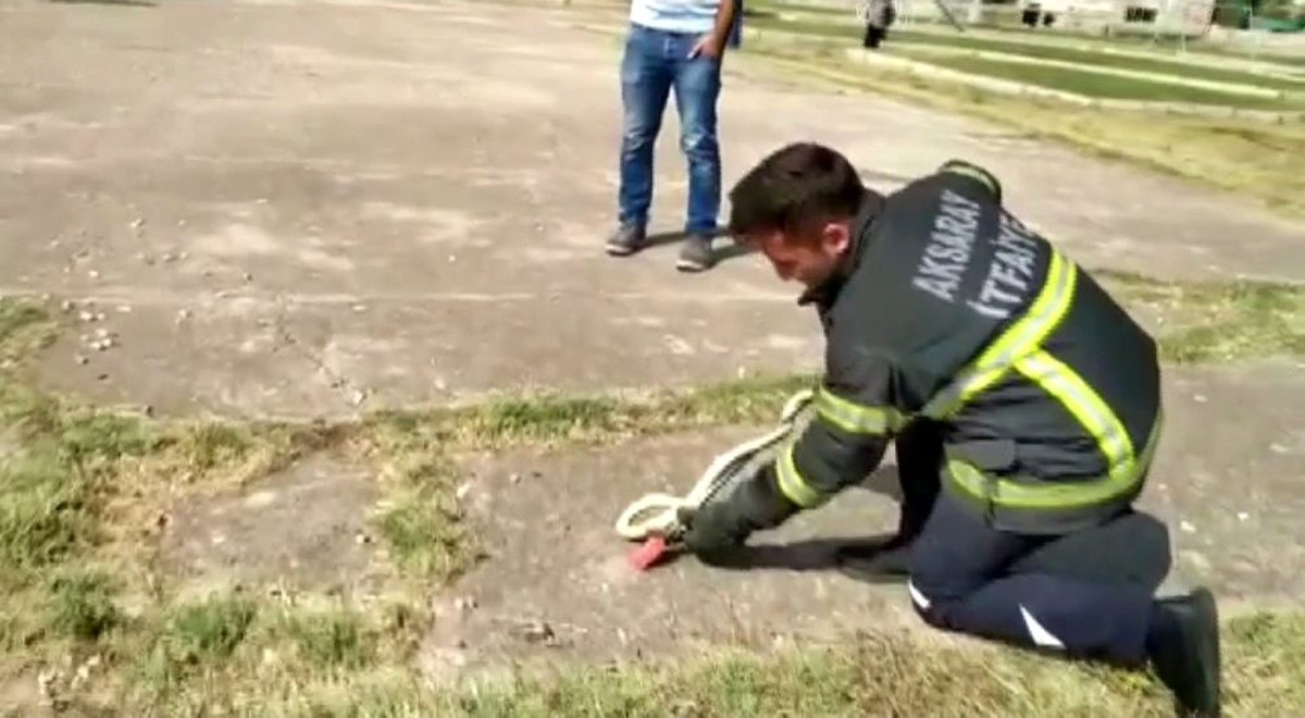 Aksaray\'da çocuk parkında ortaya çıkan yılan korkuttu