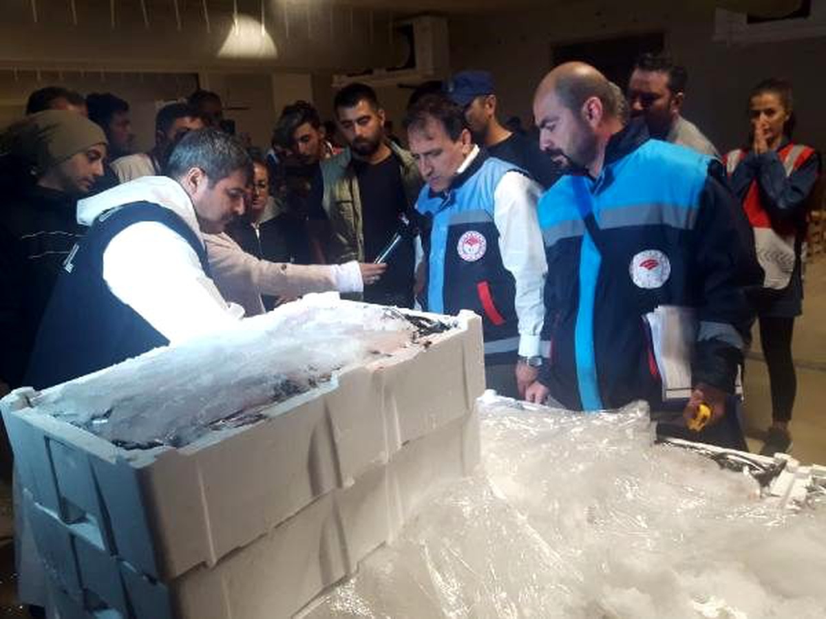 Balık boyu denetimine takılan 2 ton balığa el konuldu
