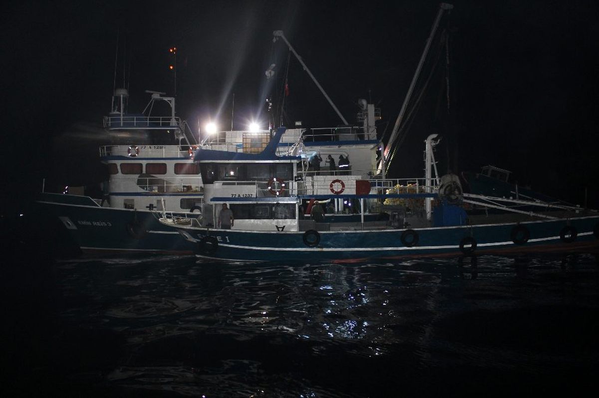 "Balık" denetiminde 2 ton balığa el konuldu
