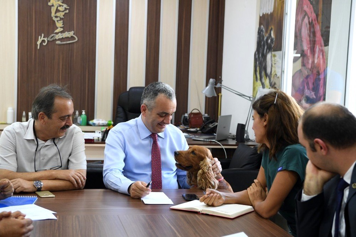 Başkan Esen, "Bu yıl 345 hayvanı kısırlaştırdık"