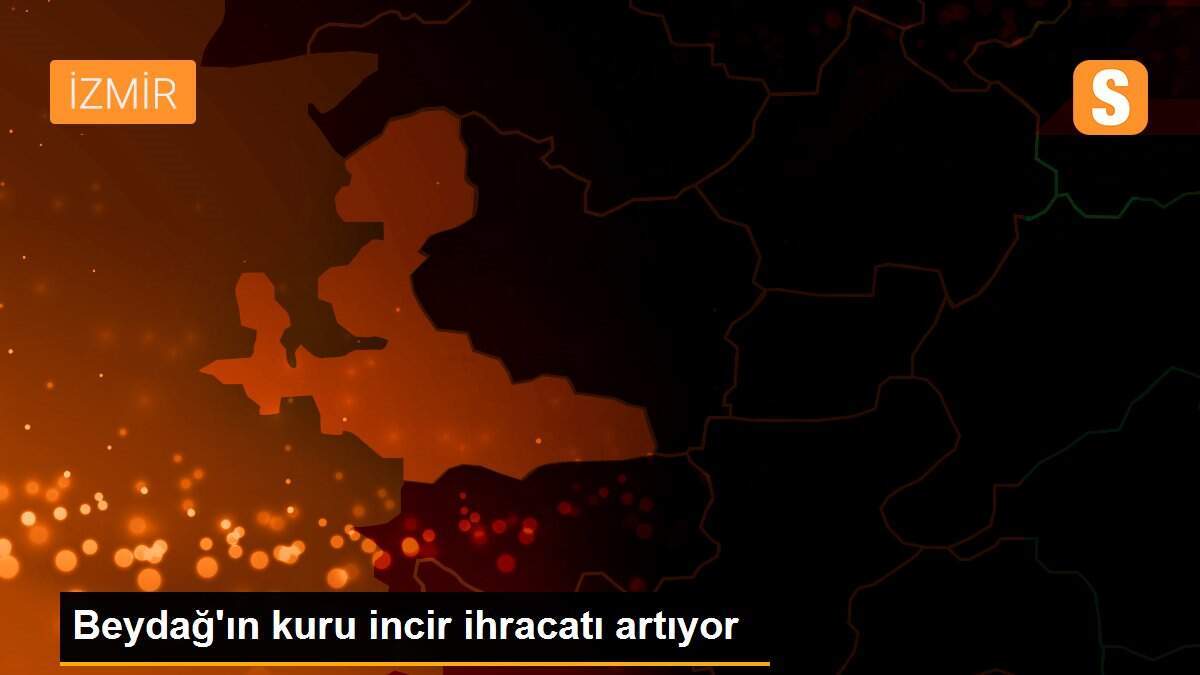 Beydağ\'ın kuru incir ihracatı artıyor