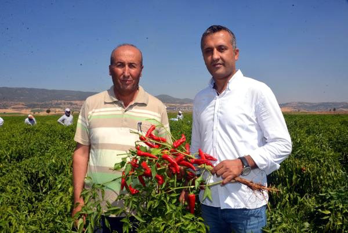 \'Biber kimin\' tartışmasında iki şehrin halkı konuştu
