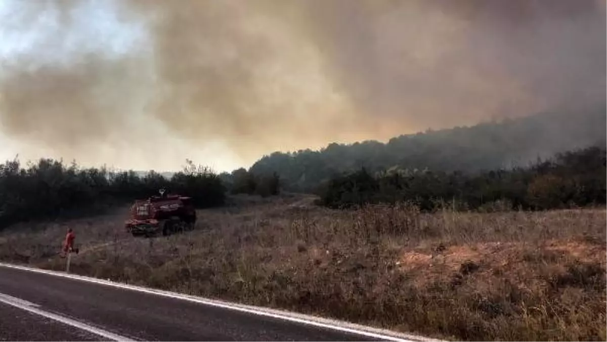 Bilecik\'te makilik yangını; 2,5 saatte kontrol altına alındı