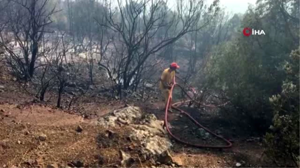 Bilecik\'te orman yangını: 6 hektarlık alan kül oldu