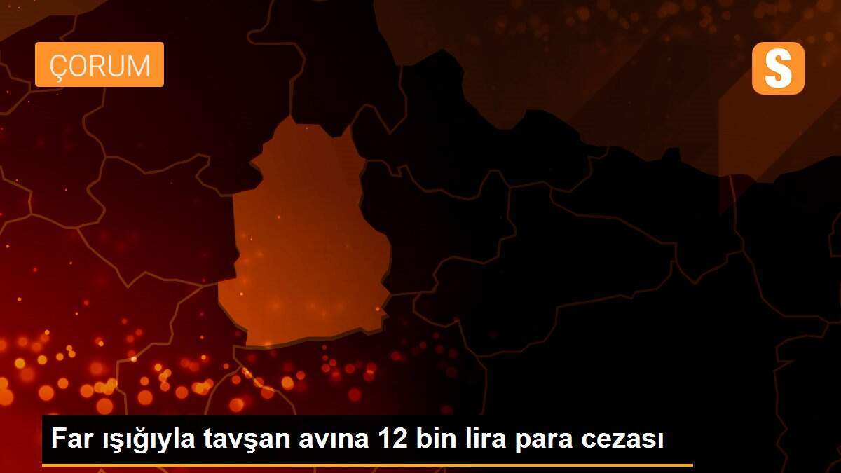 Far ışığıyla tavşan avına 12 bin lira para cezası