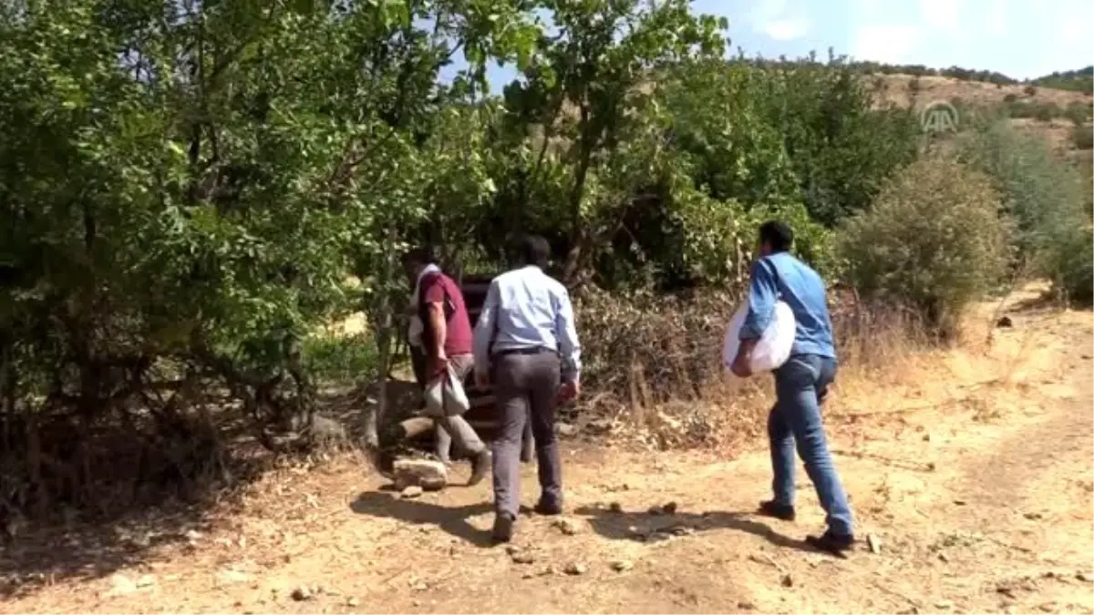 Herekol Dağı\'nda "huzurlu" bal üretimi