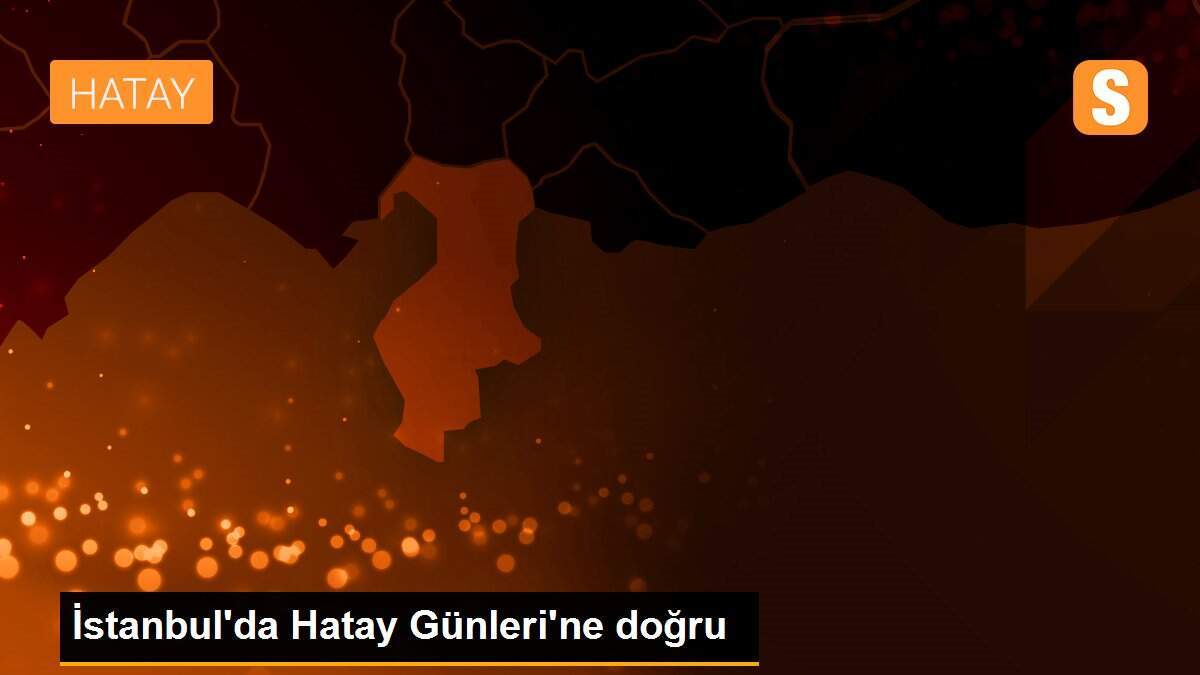 İstanbul\'da Hatay Günleri\'ne doğru
