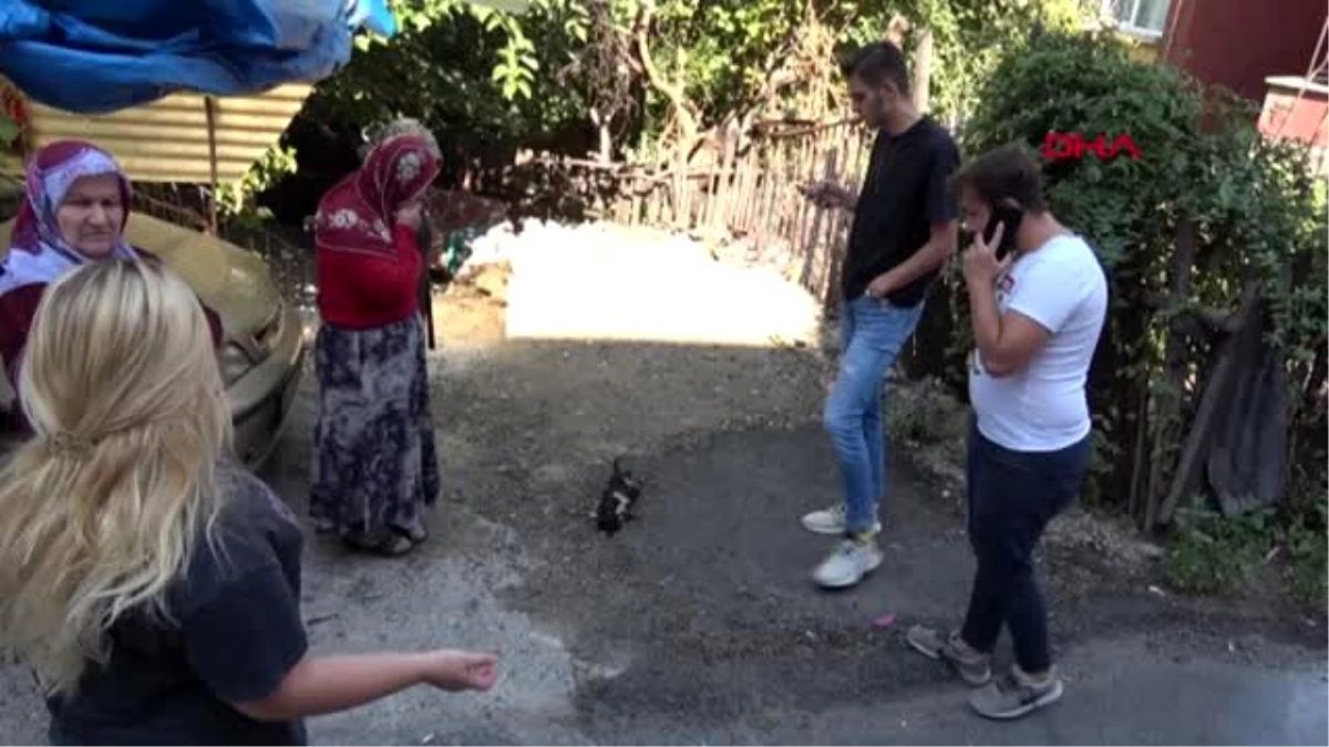 Karabük ayakları kesilmiş olan kedi vatandaşların tepkisine yol açtı