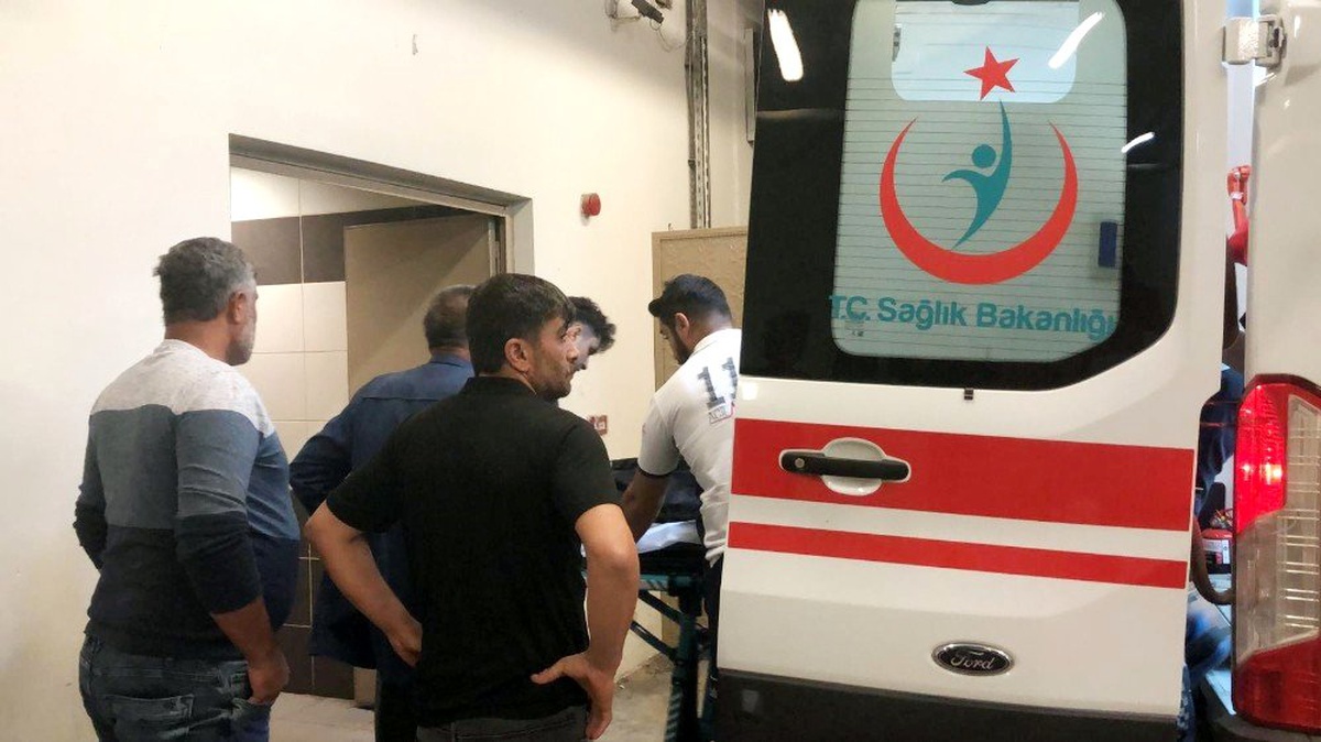 Kestiği ağacın altında kalarak öldü
