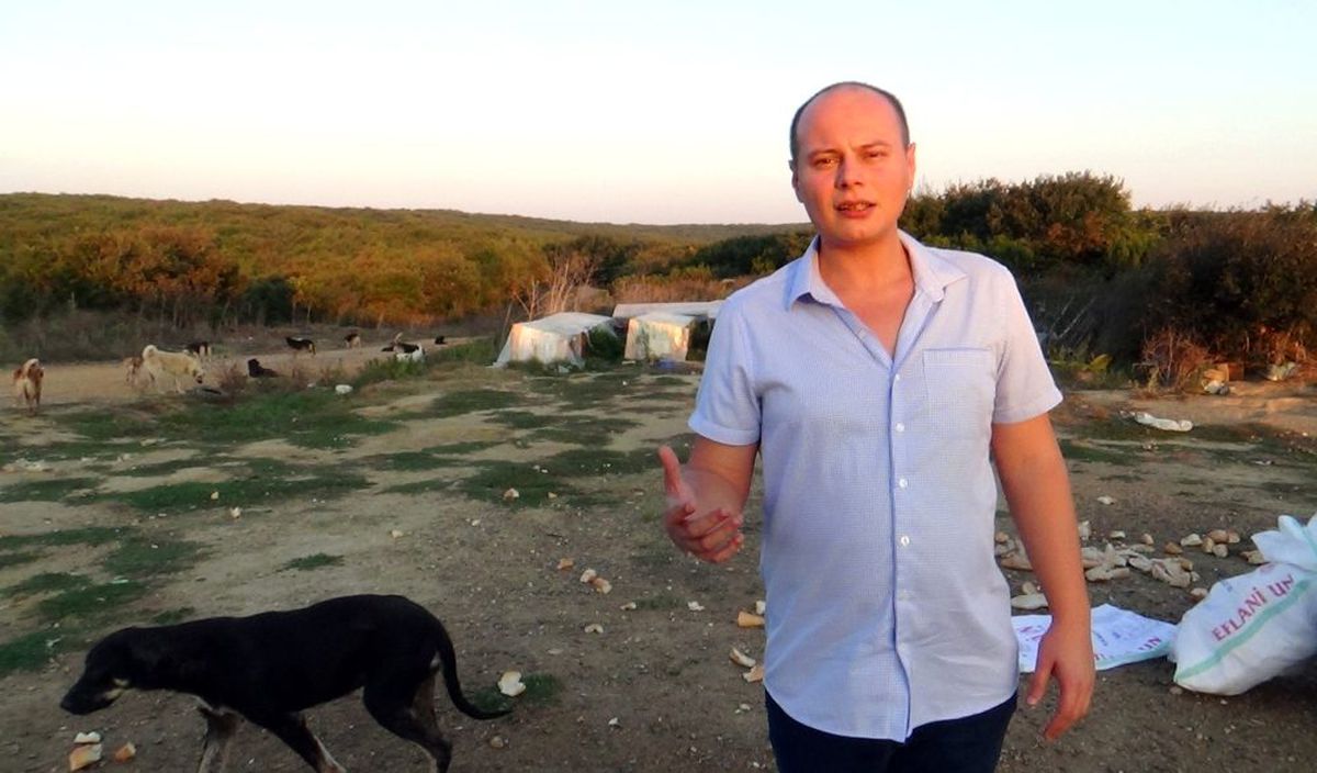 Köpeklerin ormana terk edilmesine hayvanseverlerden tepki