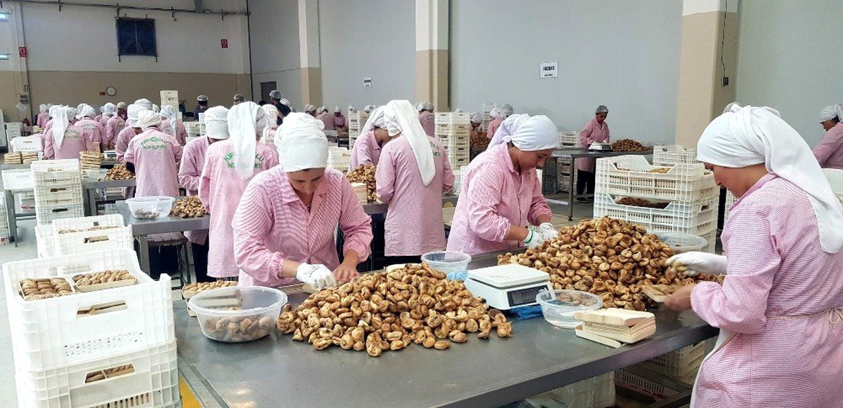 Nazilli Ticaret Borsası\'ndan Cumhurbaşkanı Erdoğan\'a incir teşekkürü